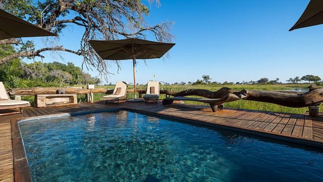 pool at Vumbura Plains camp with an exuberant view of  Botswana plain.