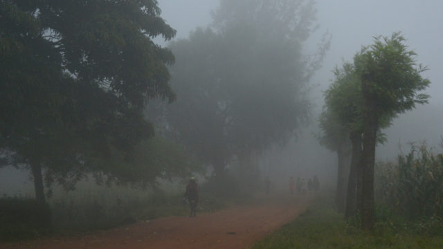 Ngorongoro fog