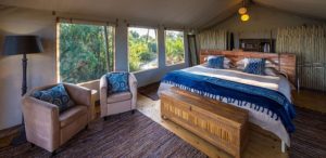 Beautiful room at Pelo camp