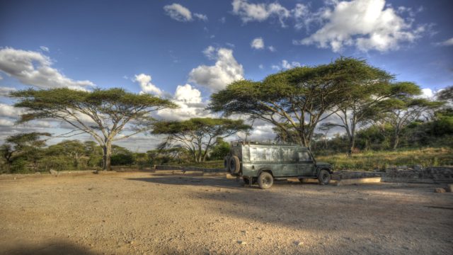 Safari serengeti gate