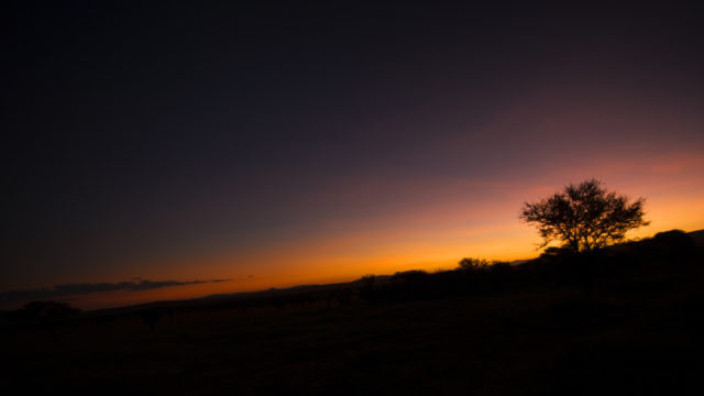 sunrise in Serengeti