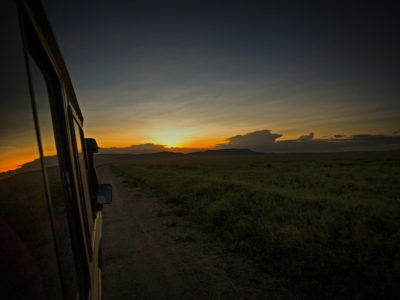 Sunset safari in Serengeti