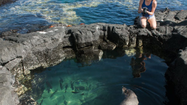 Galapagos Ecuador trip tour travel vacations