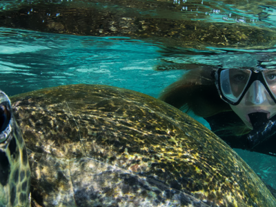 Galapagos Ecuador trip tour travel vacations