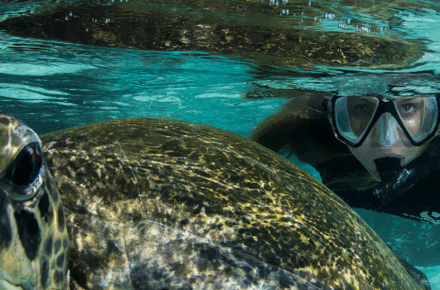 Galapagos Ecuador trip tour travel vacations