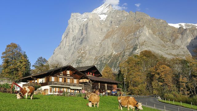 Grindelwald Switzerland Europe trip tour travel vacations