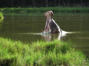 Kenya Africa trip tour travel vacations
