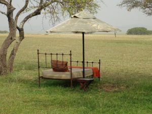 Singita Game reserve