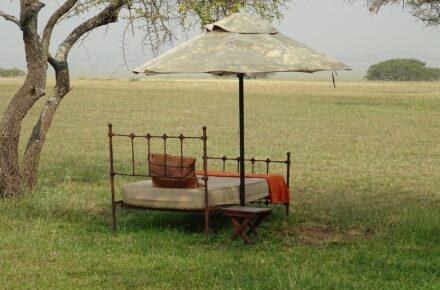 Singita Game reserve