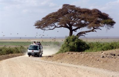 Kenya Safari Africa trip tour travel vacations