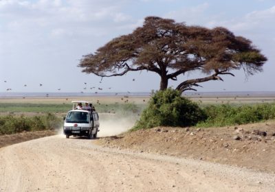 Kenya Safari Africa trip tour travel vacations