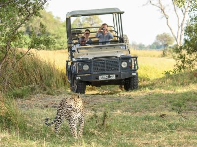 Africa,Bostwana, Safari, trip, tour, travel, vacations