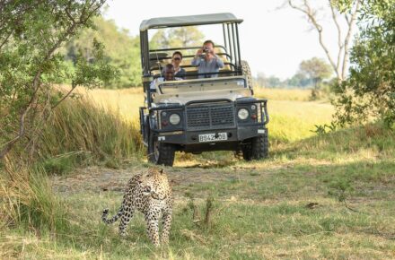 Africa,Bostwana, Safari, trip, tour, travel, vacations