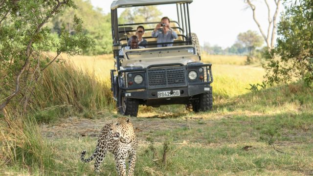 Africa,Bostwana, Safari, trip, tour, travel, vacations